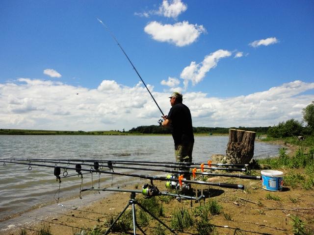 diverse - dsc09635.JPG